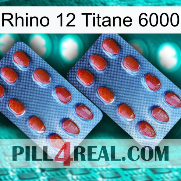 Rhino 12 Titanium 6000 05
